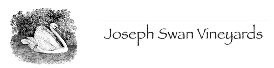 Joseph Swan