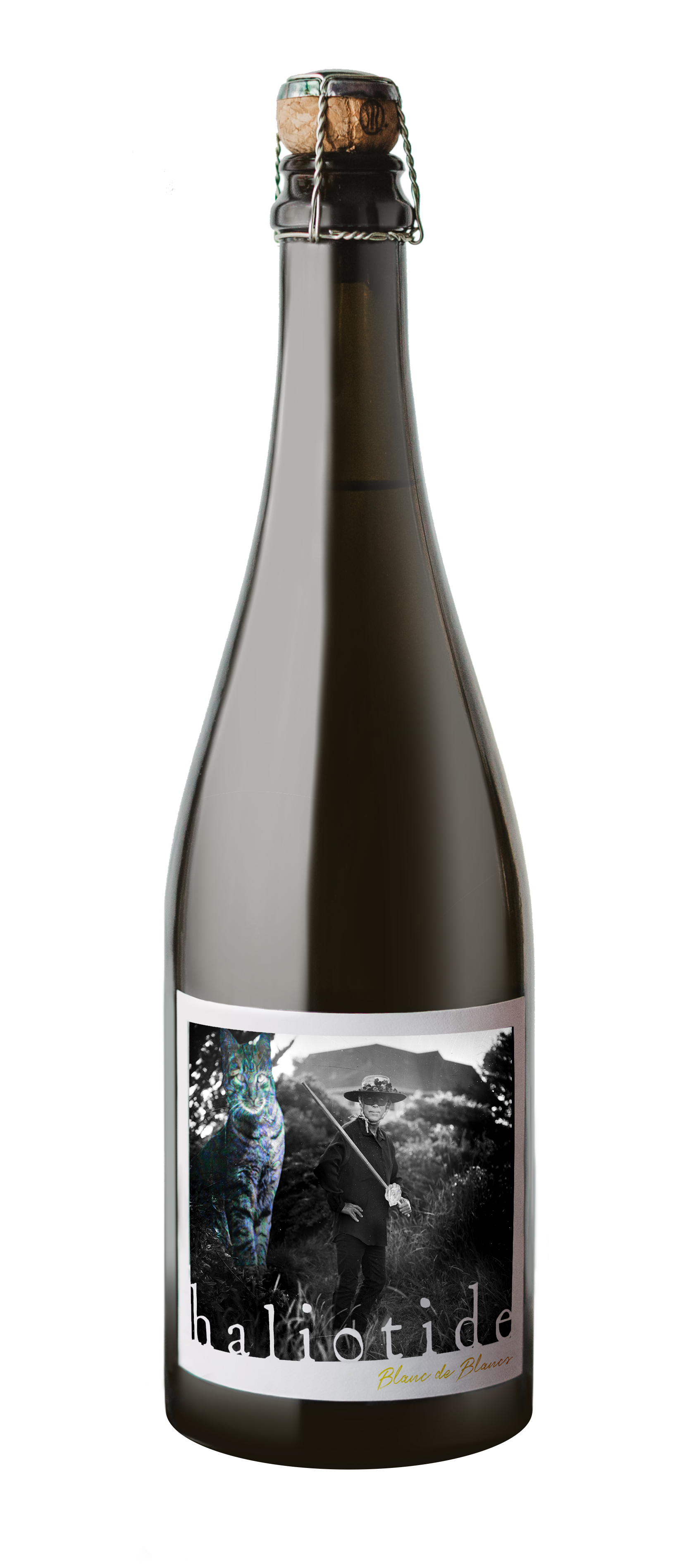 2019 Haliotide Blanc de Blancs Sparkling