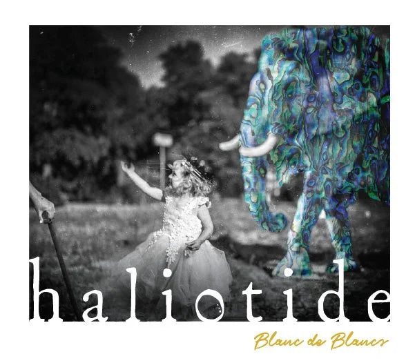 2020 Haliotide Blanc de Blancs Bassi Vineyards Sparkling