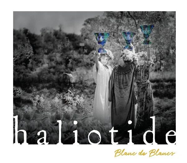 2021 Haliotide Blanc de Blancs Stolo Vineyards Sparkling