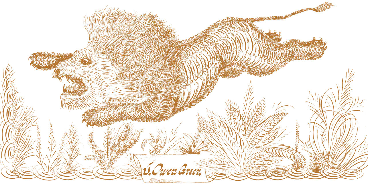 2018 Greer Cabernet Sauvignon